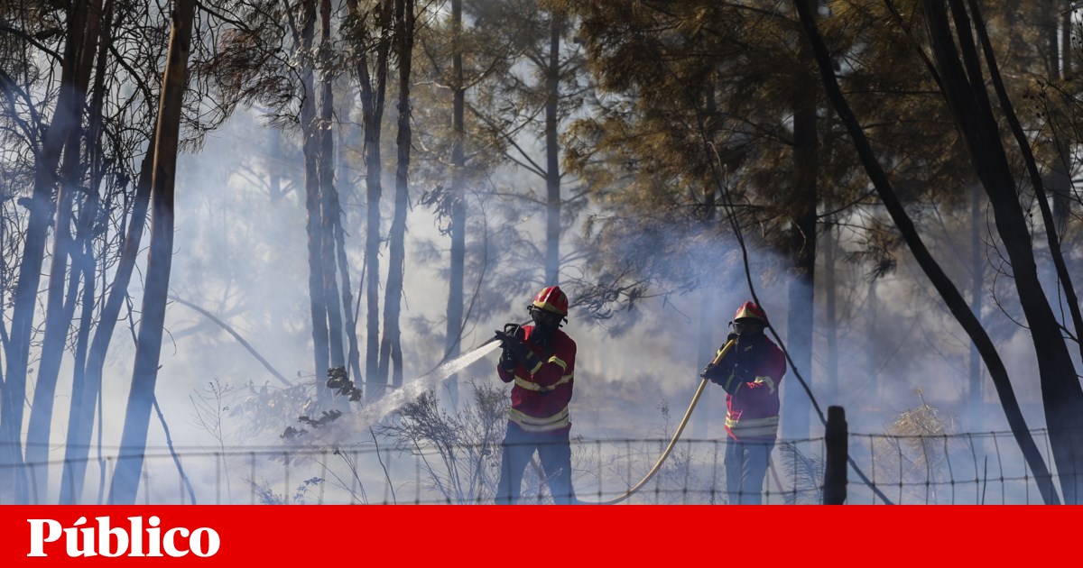 Massive Fire Erupts in Seixal: Hundreds of Firefighters Battle Blaze Originating from Car