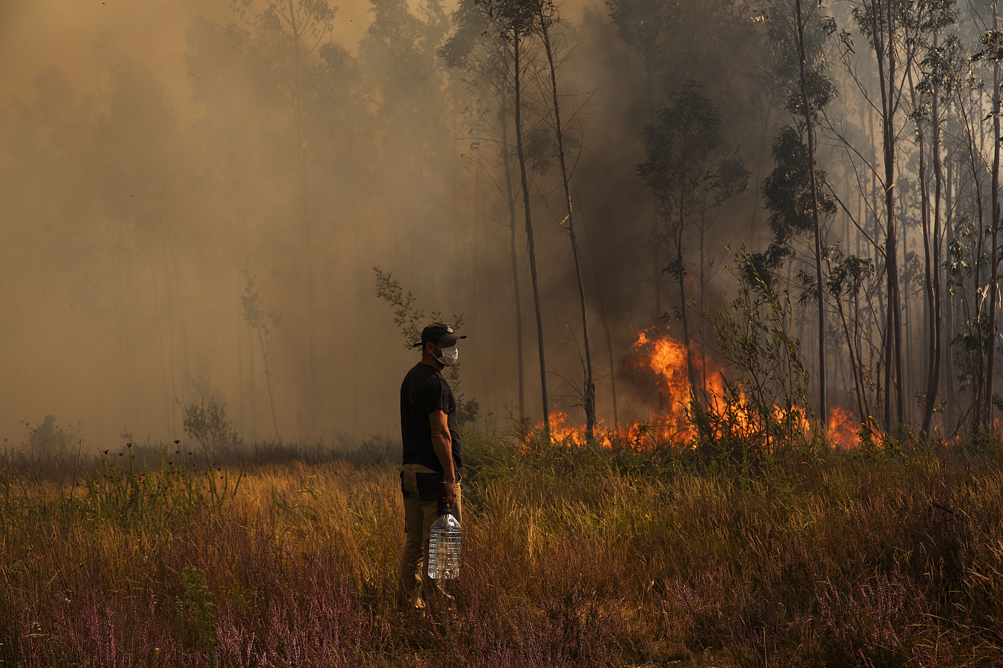 p3,bemestar,saude-mental,incendios,incendios-florestais,psicologia,