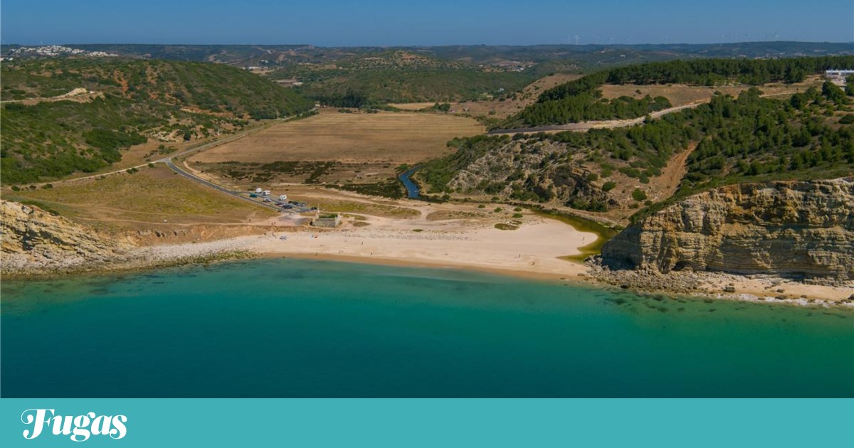 Crude Oil Contamination in Algarve: Beaches Reopen, Martinhal Remains Closed