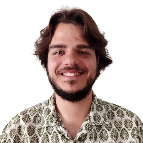 Mais de Afonso Dinis
