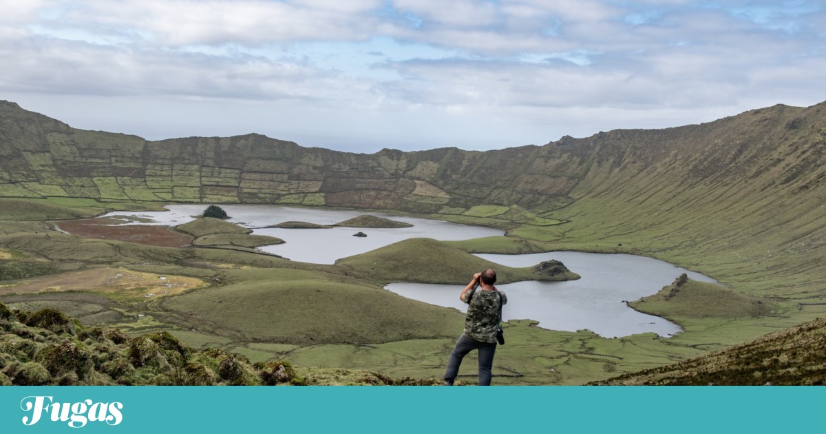 Discover the Birdwatching Phenomenon on Corvo Island: A Haven for Rare Species