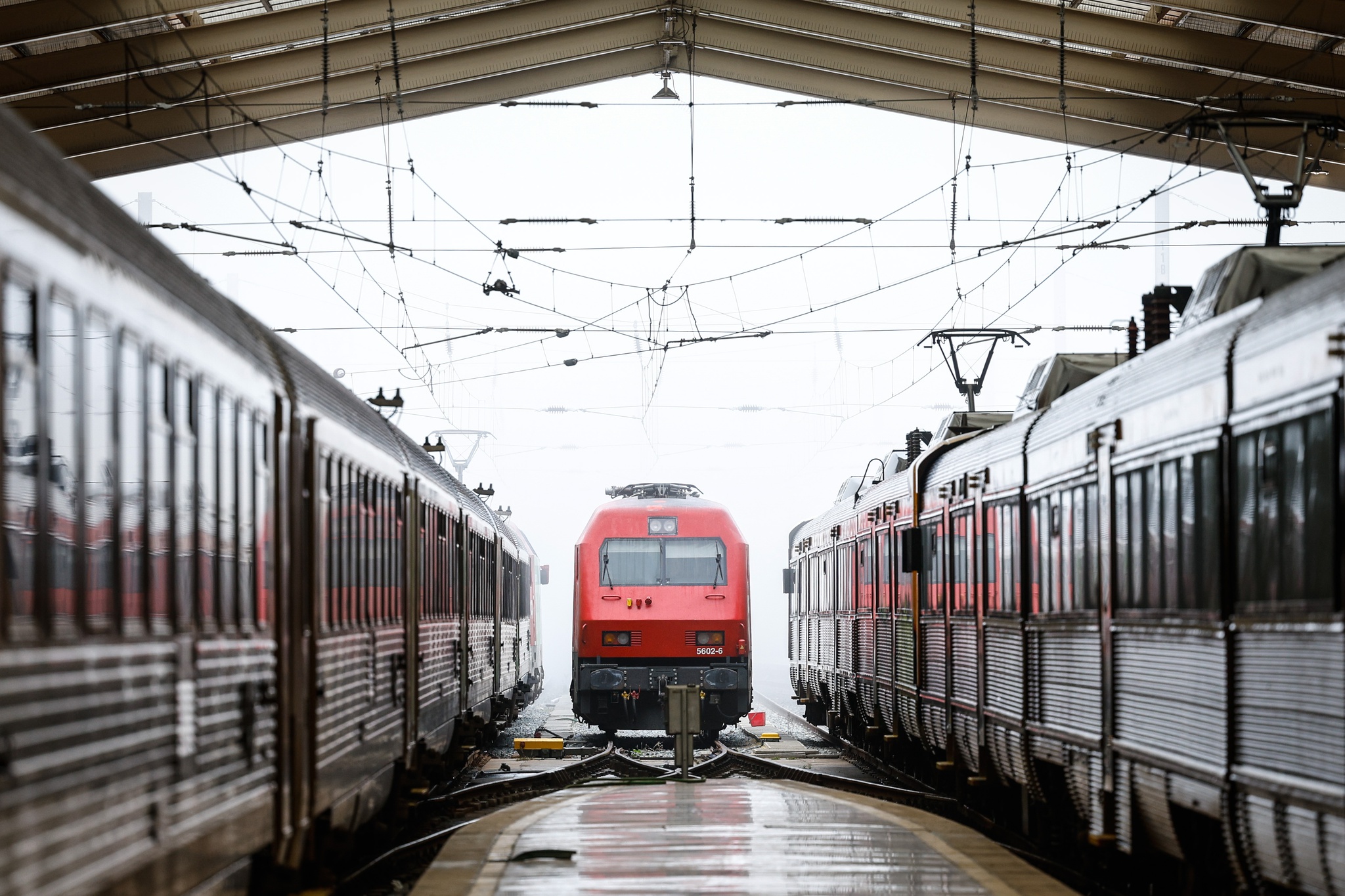 Sexto dia de greve na CP suprimiu 282 comboios até às 19h