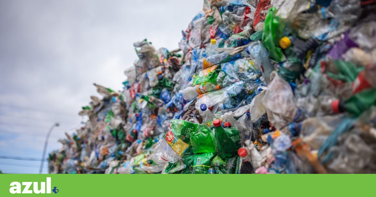 Plastik: Es gibt Chemikalien, die uns entgehen (insbesondere in recycelten Materialien) | Verschmutzung Plastik: Es gibt Chemikalien, die uns entgehen (insbesondere in recycelten Materialien) | Verschmutzung