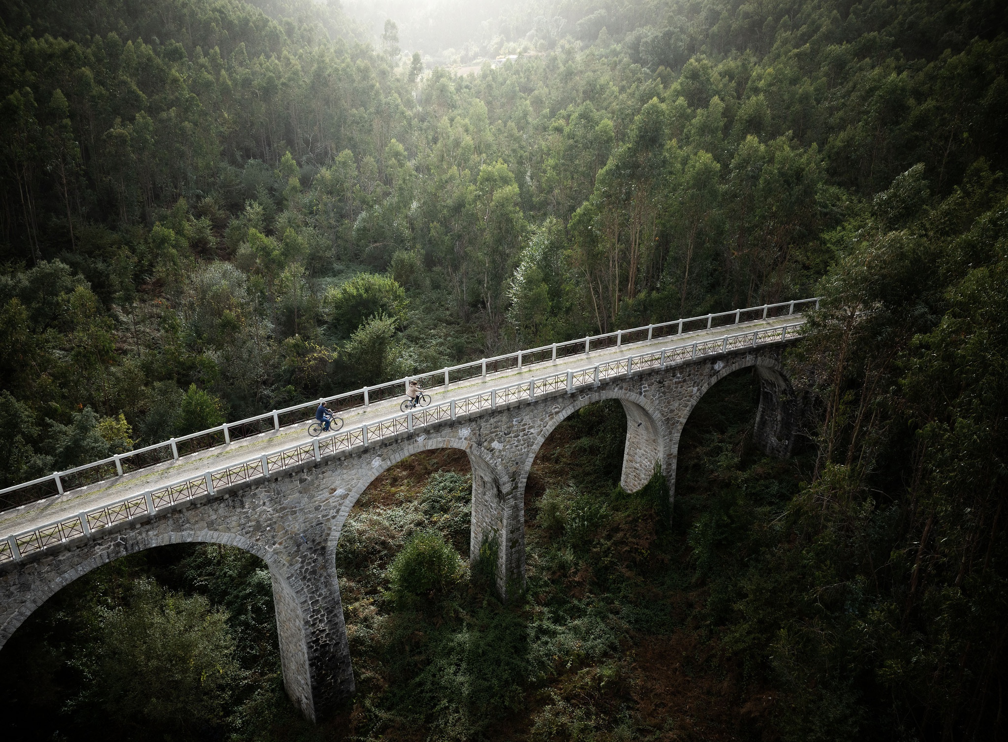 Neg- 30 outubro 2024 - ecopista do vouga - oliveira de frades