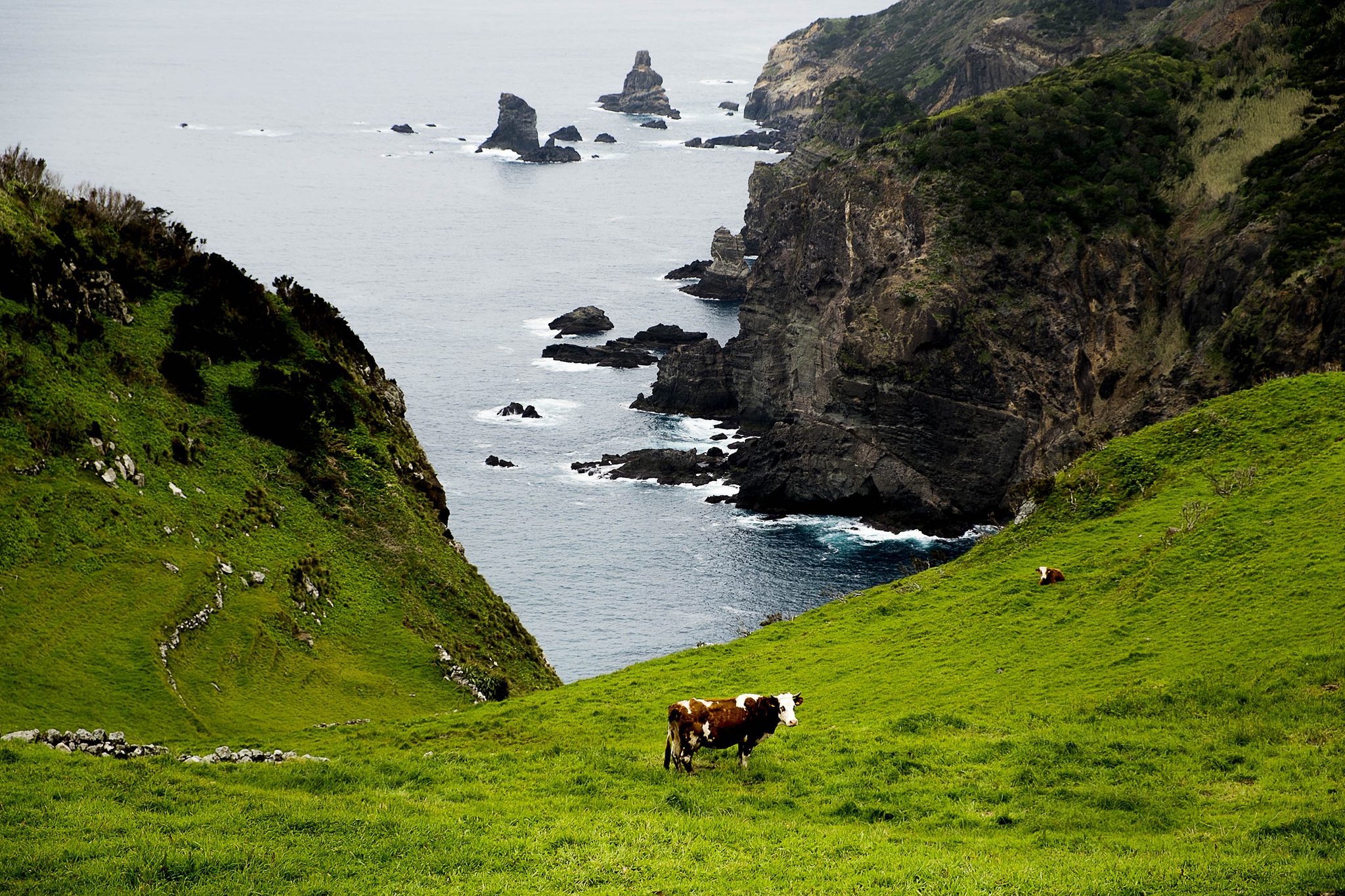 sustentabilidade,fugas,acores,turismo,