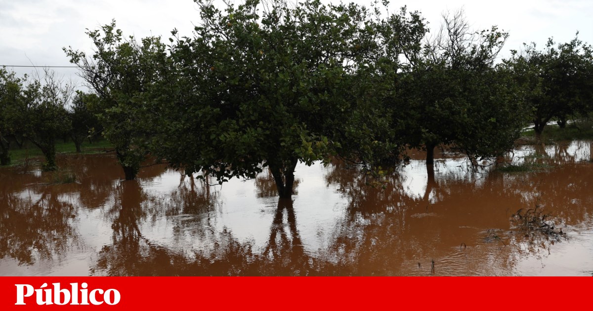 Severe Weather in Algarve: Train Derails and Woman Rescued from Floodwaters