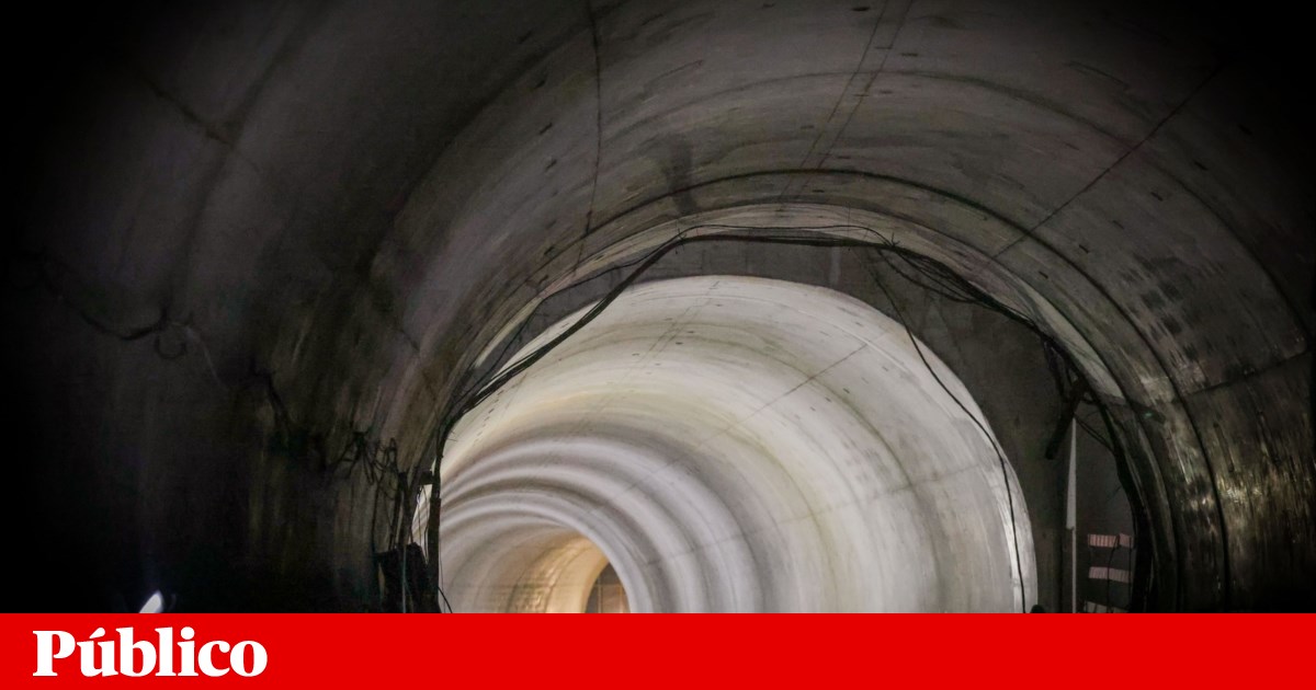 Lisbon Metro's Apology: Activists Identified in Environmental Report Sparks Controversy