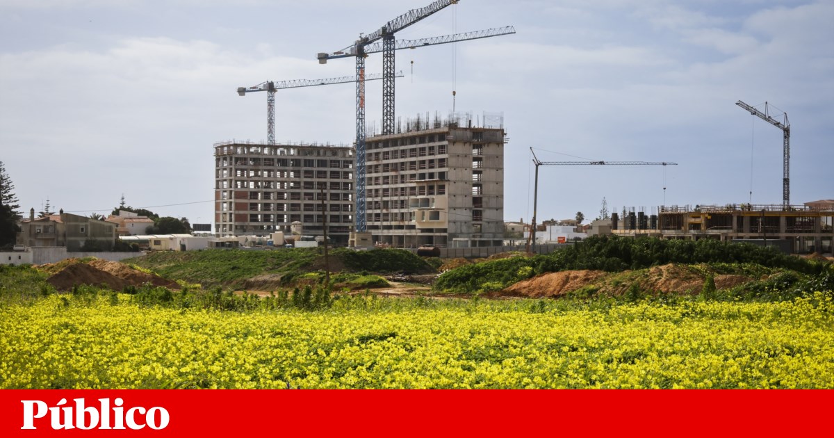 Understanding Portugal's New Land Law: Key Changes and Implications