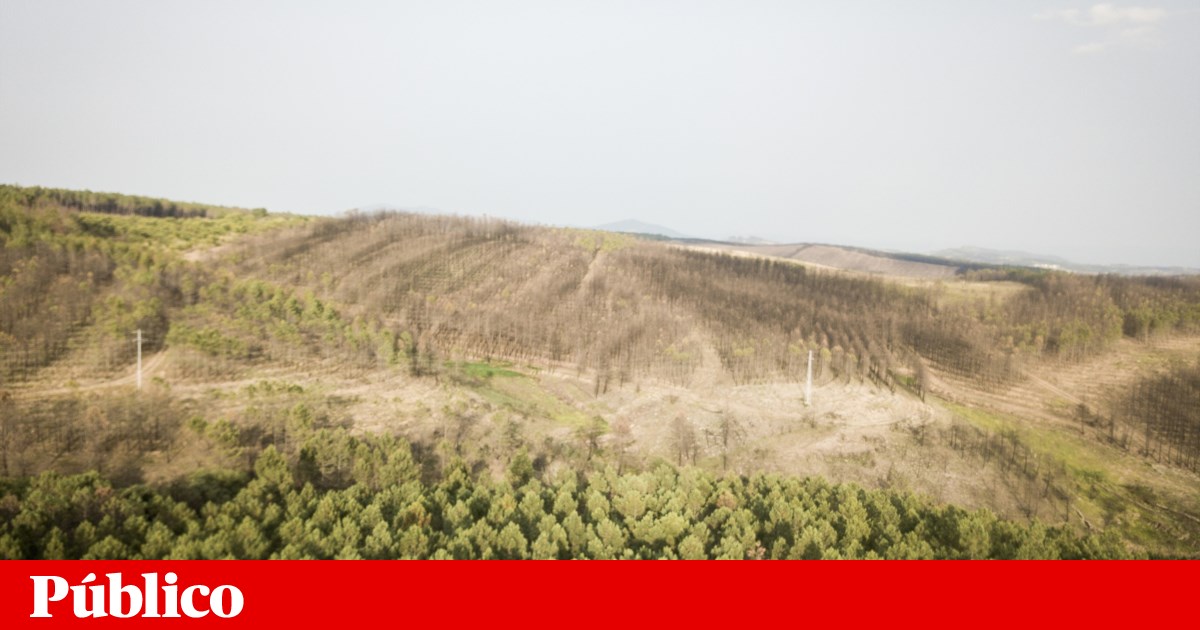 Portugal Government Scraps Affordable Housing Requirement for Urban Development: What This Means