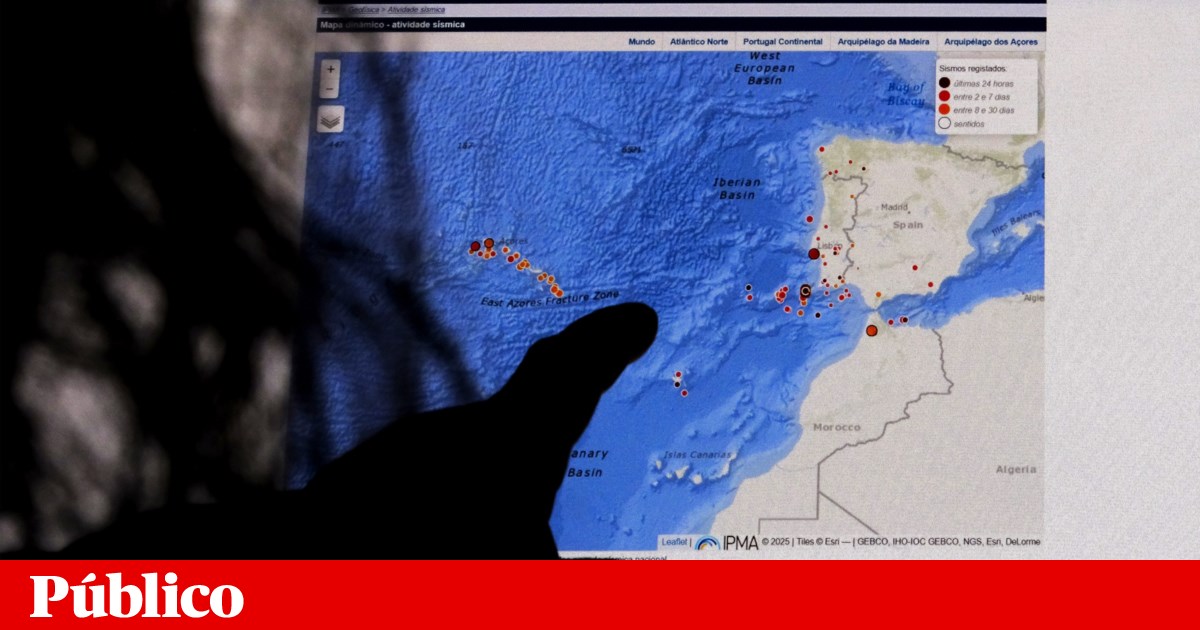 IPMA's Website Crashes for 26 Minutes After Monday's Earthquake: What Happened?