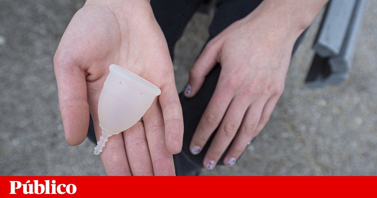 Produtos Menstruais Gratuitos: Saiba Como Levantá-los nas Escolas e Centros de Saúde