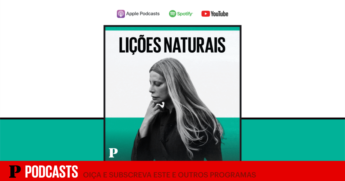 Asas de Borboleta Inspiram Células Solares Revolucionárias: Um Salto na Eficiência Energética