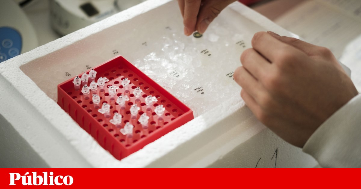 Corte Drástico no Financiamento de Saúde nos EUA: Mais de um Quarto do Orçamento Cortado