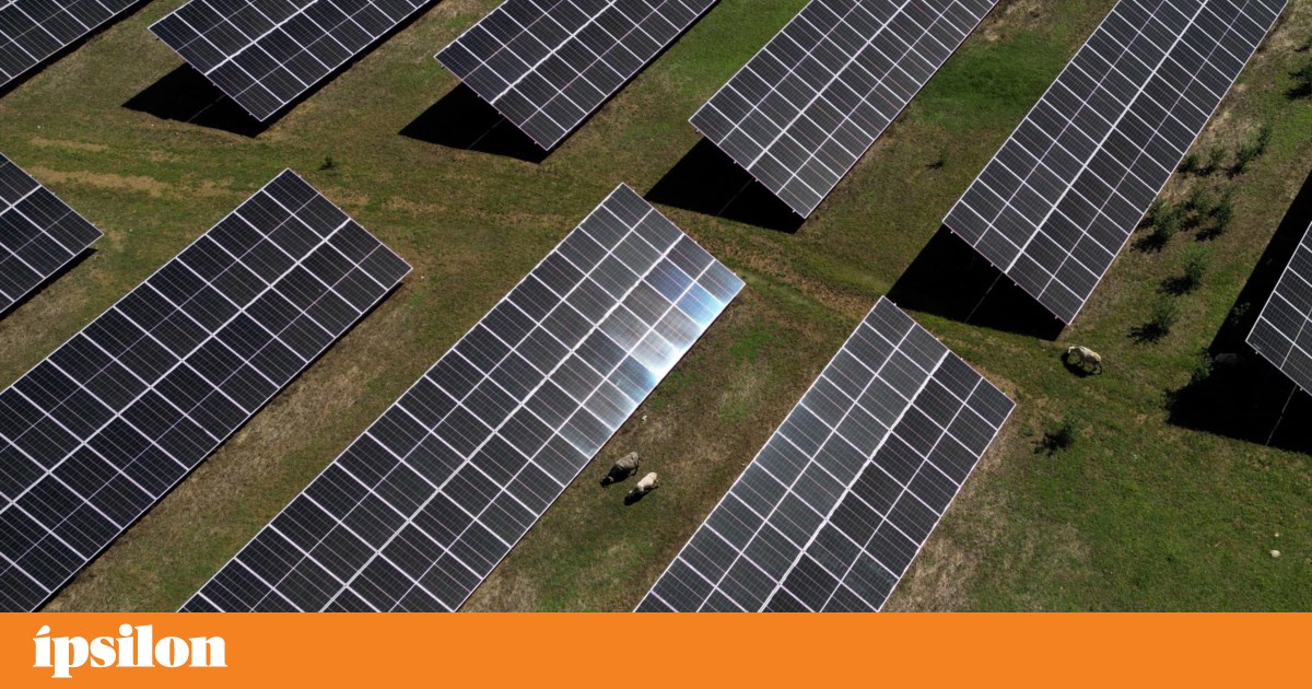 Tão verdes que eles são