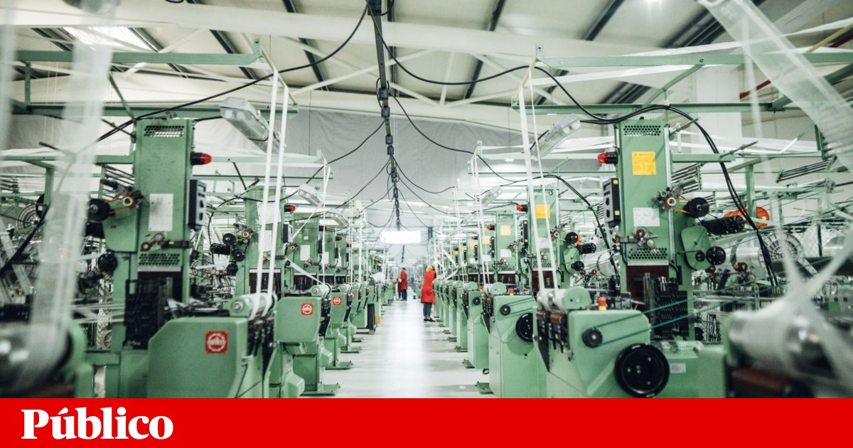 Famílias portuguesas com maior aumento do rendimento real na OCDE em 2024