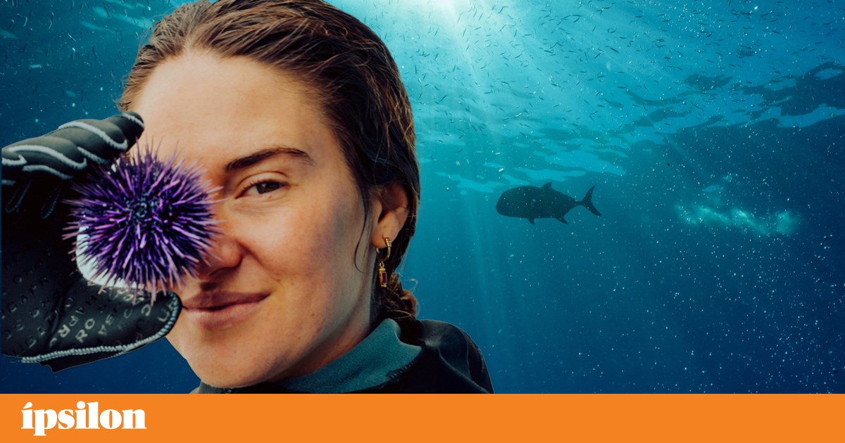 Quarta na TV: da magia de Spielberg à esperança nos oceanos