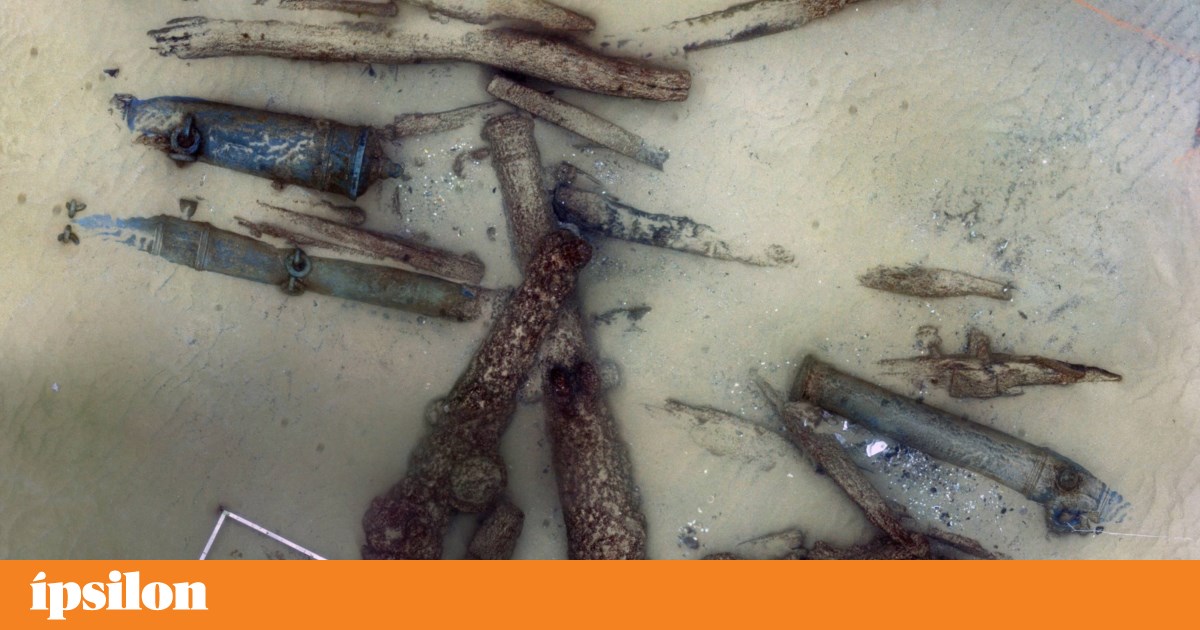 Quinze anos de mergulhos em naufrágios nas águas portuguesas agora em exposição