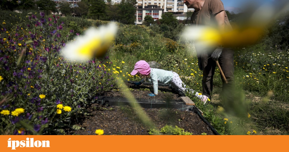 Que cidade queremos? Festival na Amadora traz a ecologia para o dia-a-dia
