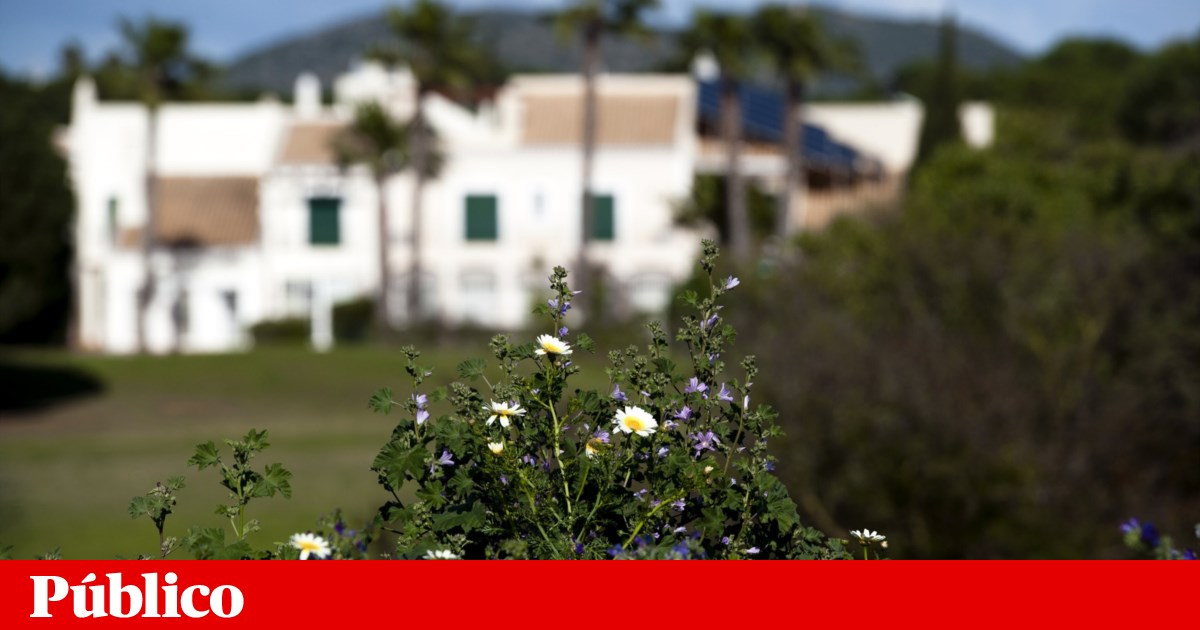 Multi-Million Euro Real Estate Scam in Algarve Involves Estate Agent and Four Lawyers - Publico