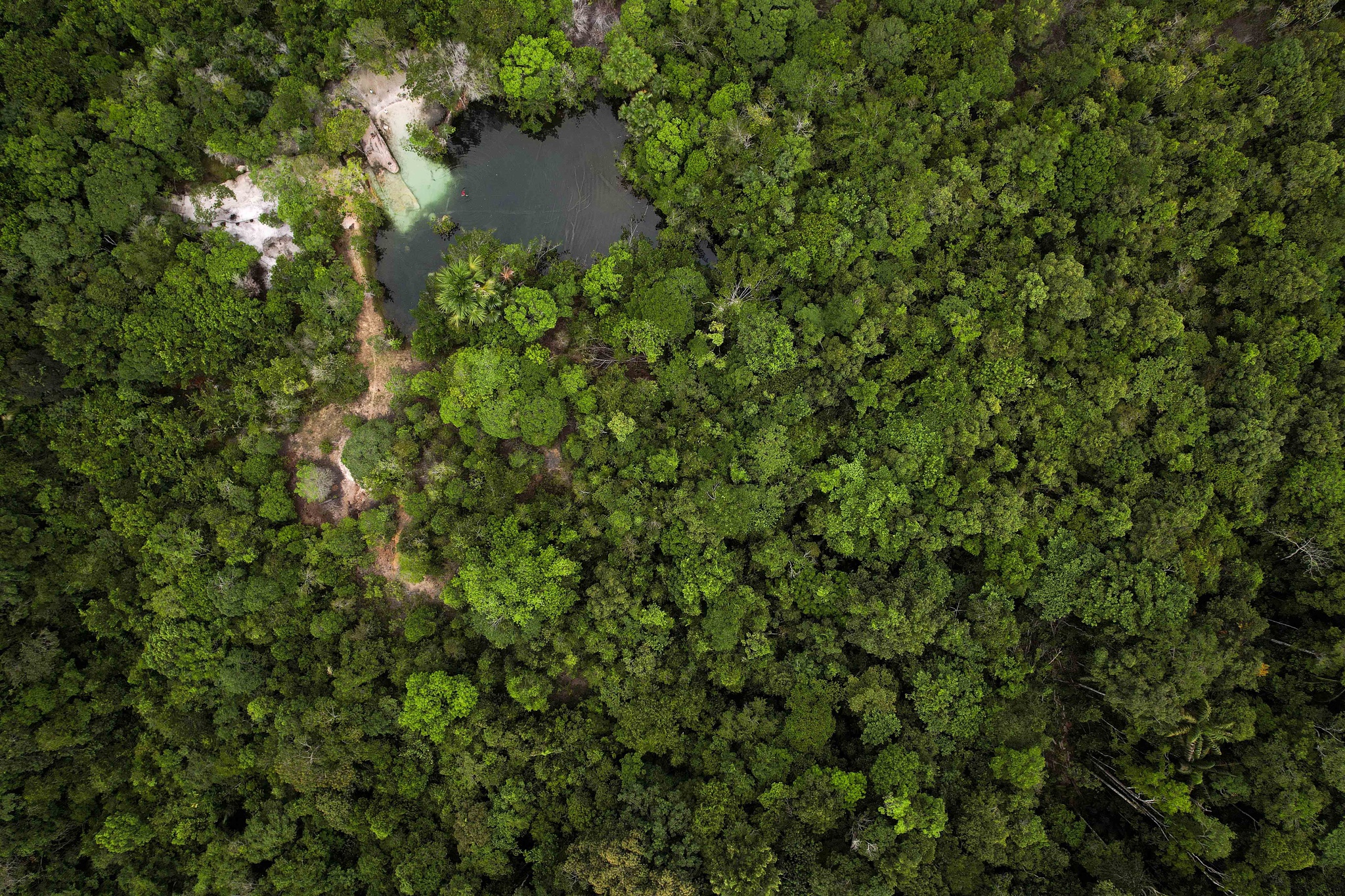 Nuno Ferreira Santos - 6 Novembro 2024 - Reportagem na Amazónia, Brasil - Visita à Lagoa Cristalina no município de Presidente Figueiredo (estado do Amazonas), local conhecido pelas cachoeiras