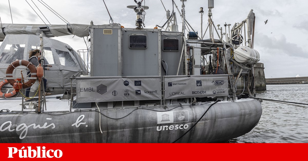 Leixões Port Access Reopened After Chemical Spill Scare on A28