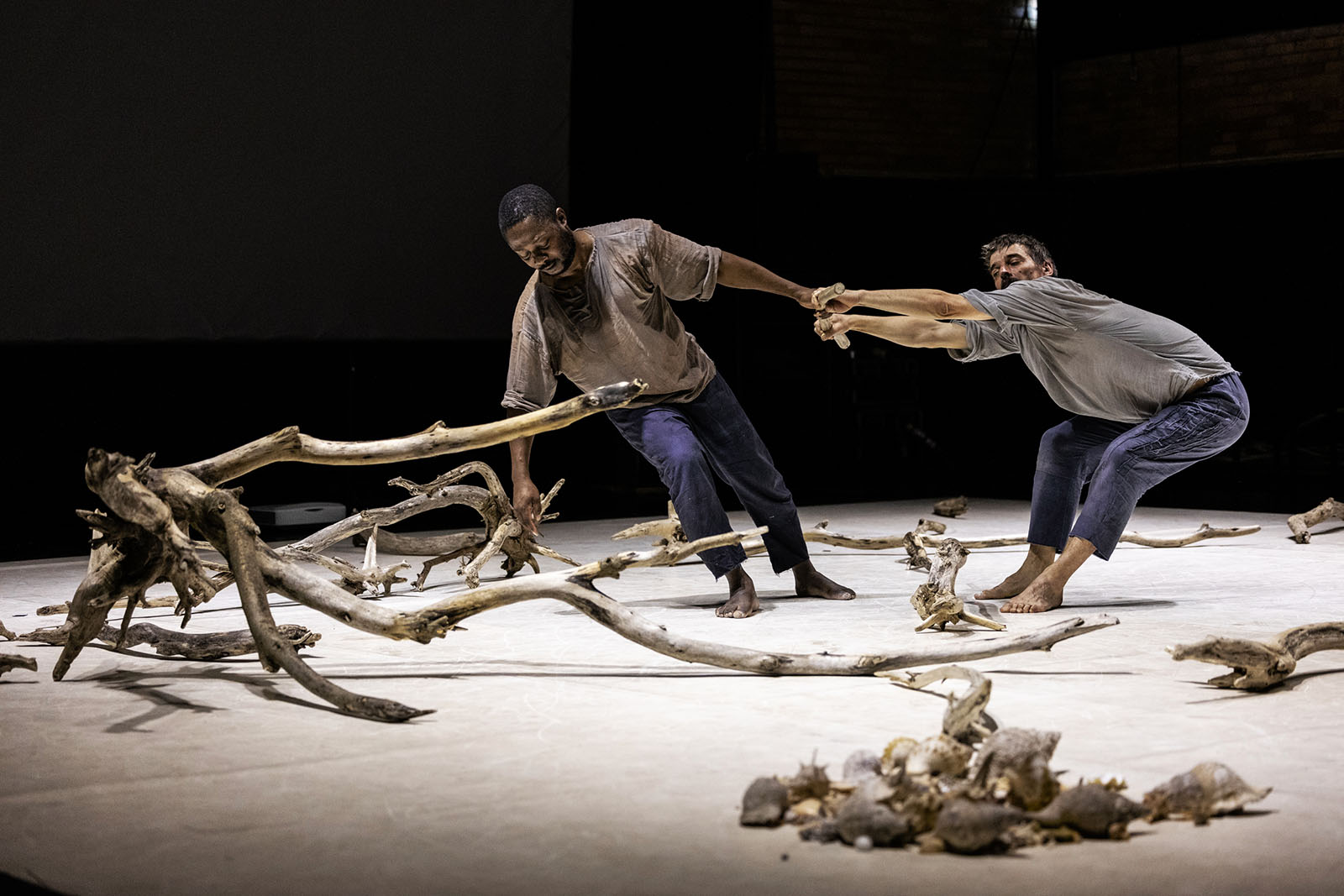 ipsilon,teatro-municipal-sao-luiz,vasco-gama,culturaipsilon,danca,mocambique,