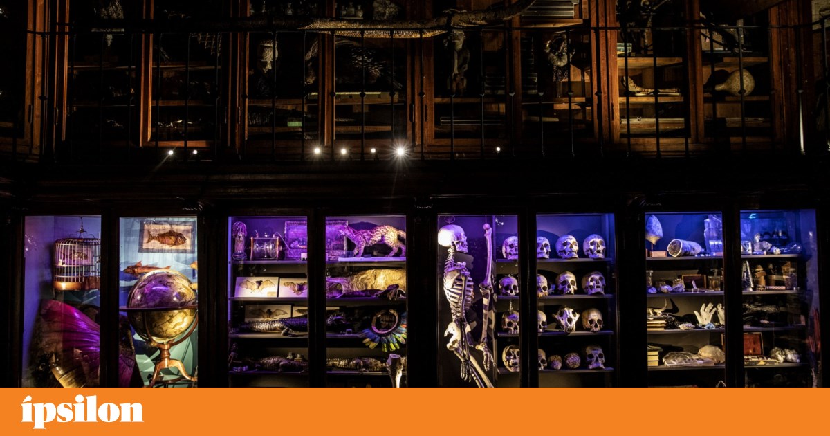 Universidade de Coimbra já discute plano de acção para “patrimónios sensíveis”