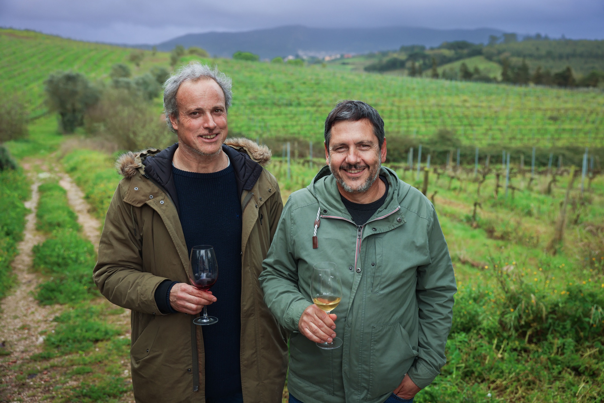 castas,vinicultura,especial-vinhos,vinhos,fugas,lisboa,