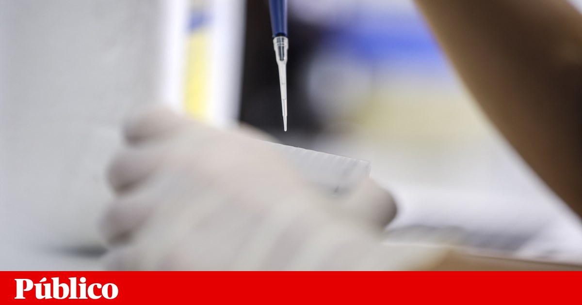 Mulheres na Ciência: Bolsas L'Oréal Portugal Reconhecem Investigação de Vanguarda na Saúde e Oceanos