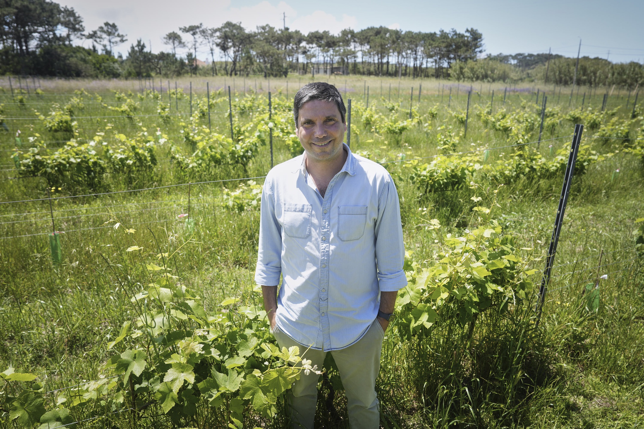 trasosmontes,especial-vinhos,vinhos,fugas,alentejo,lisboa,