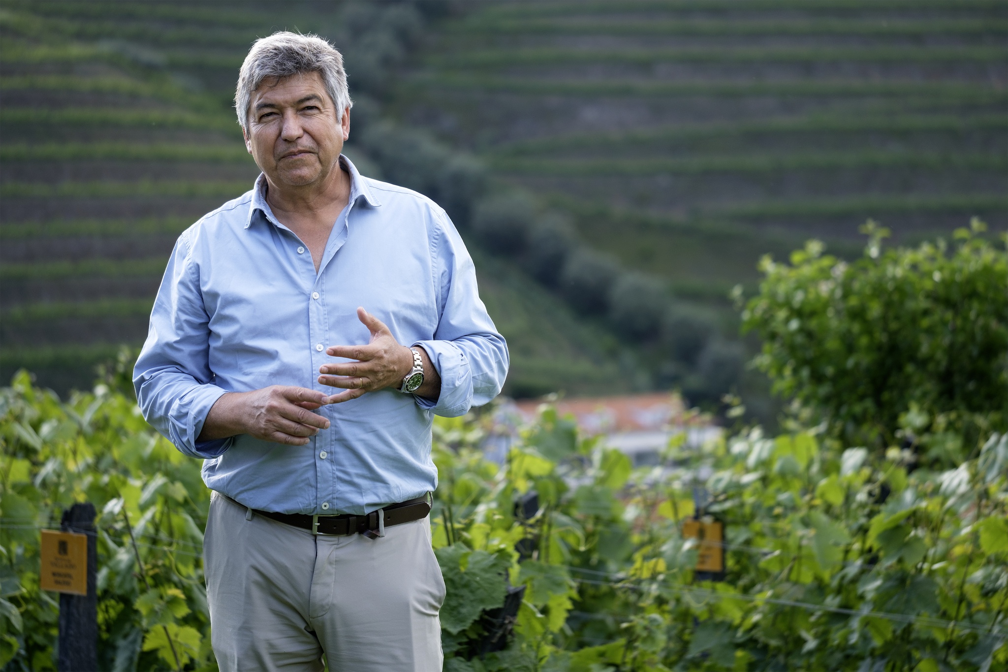 Manuel Roberto - 15 Maio 2025 - PORTUGAL, Régua. Quinta do Vallado. João Álvares Ribeiro, economista, admnistrador da Quinta do Vallado.