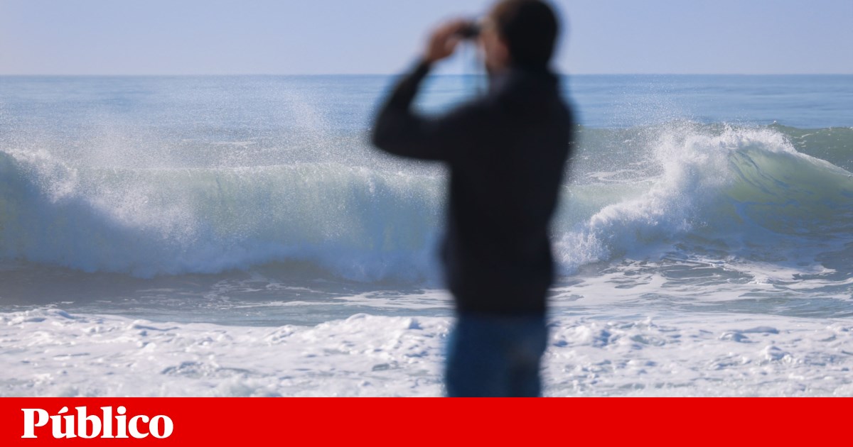 “Tragédia nas Praias de Pedrógão: Corpo de Criança Desaparecida Encontrado na Falca!” #ÚltimasNotícias #Portugal “Tragédia nas Praias de Pedrógão: Corpo de Criança Desaparecida Encontrado na Falca!” #ÚltimasNotícias #Portugal