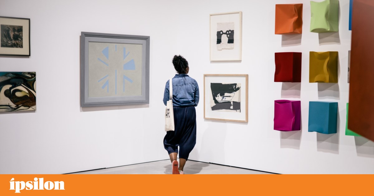 Oliva abre biblioteca especializada em arte com 1000 títulos para investigadores