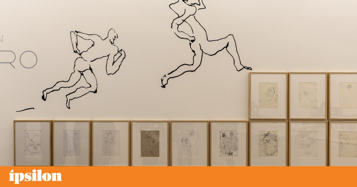 Museu de Serralves conquista prémio de museu português do ano