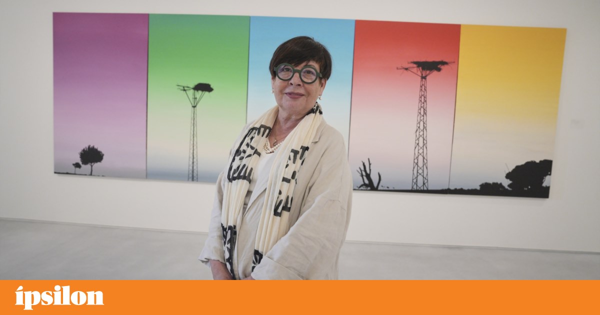 Pavilhão Julião Sarmento: “Belém, neste momento, é a Lisboa contemporânea”