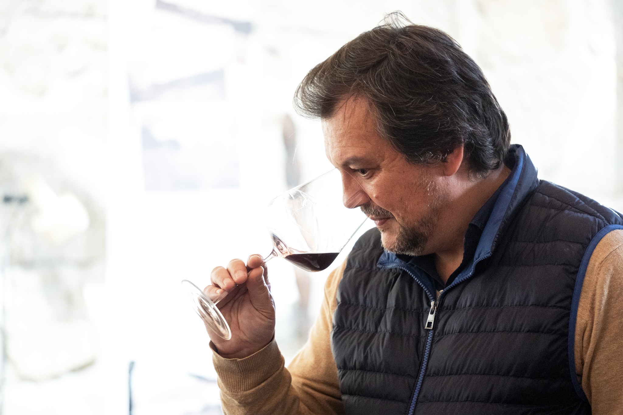 terroir,dao-,vinhos,fugas,