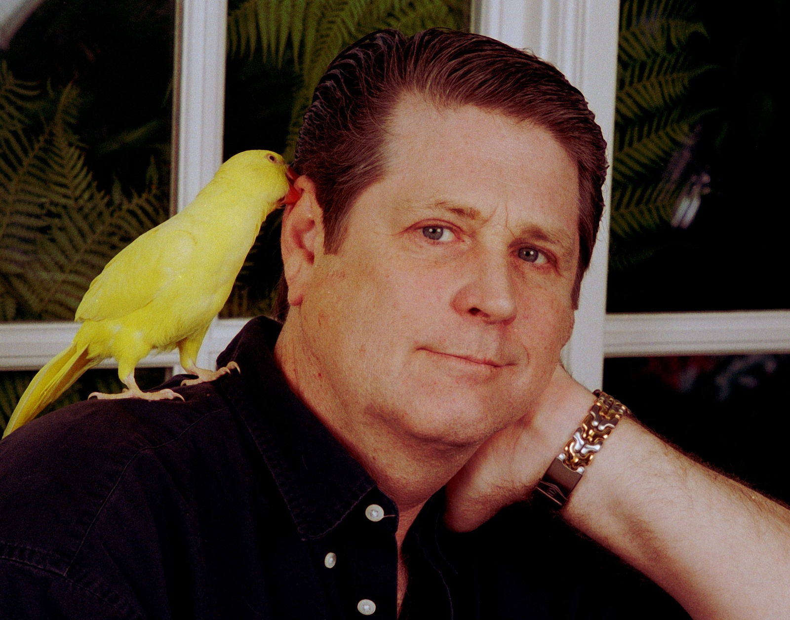 cultura,pet-sounds,beach-boys,brian-wilson,culturaipsilon,musica,