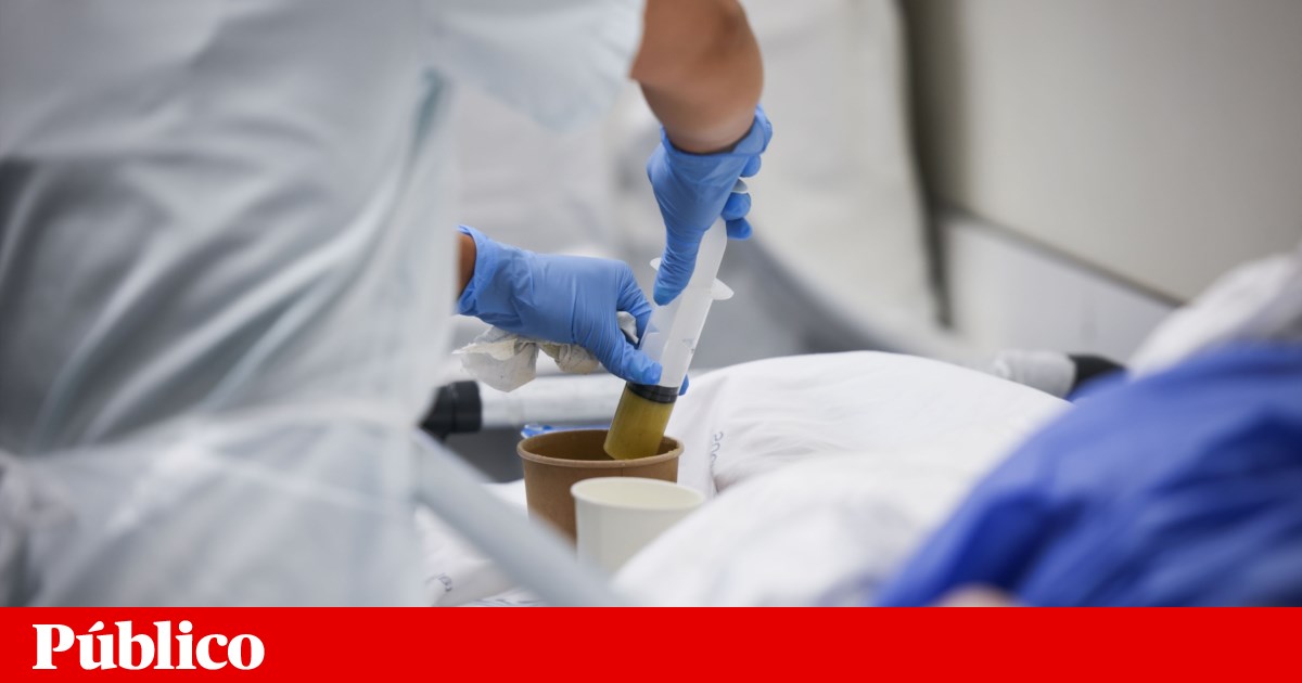 Crise na Saúde: Ordens Profissionais Alertam para a Fuga de Talentos e Exigem Medidas Urgentes do Governo