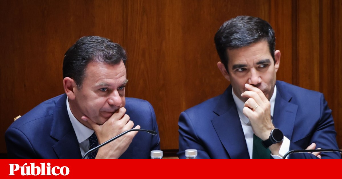 Constitutional Court Previously Deemed Loss of Nationality for Criminal Acts Unconstitutional
