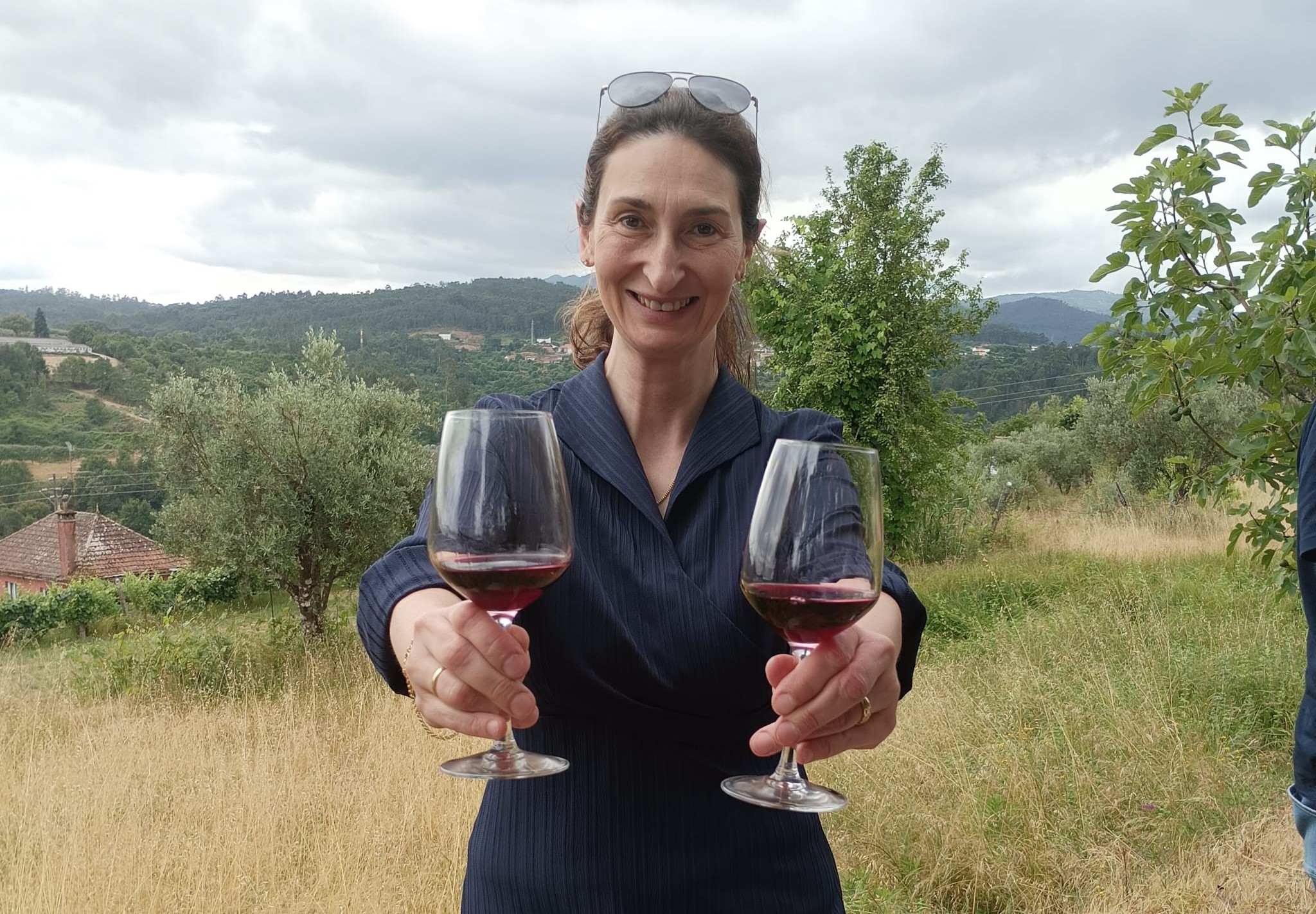 dao-,viseu,enoturismo,vinhos,bares,fugas,