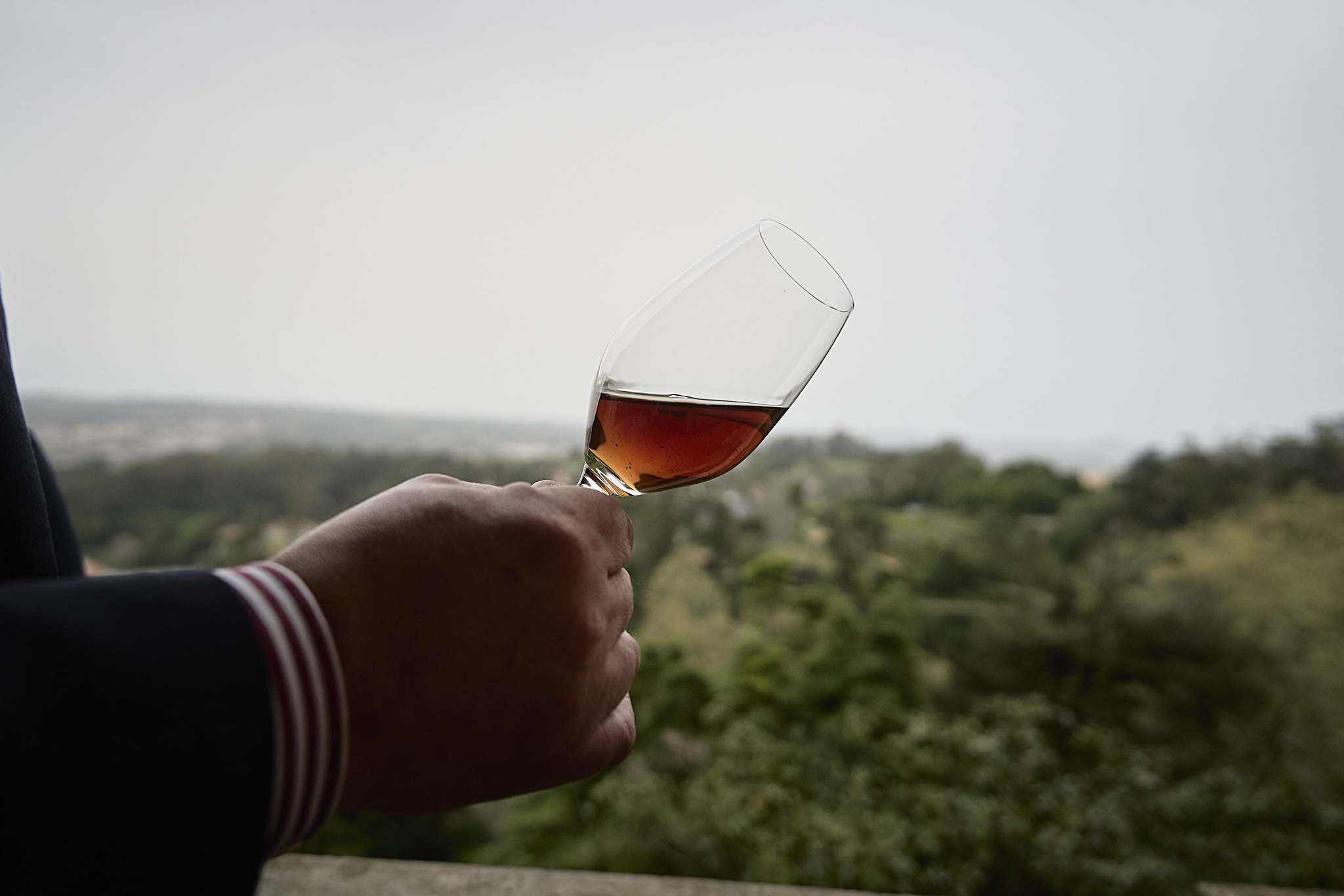 terroir,bruxelas,vinhos,fugas,economia,impostos,