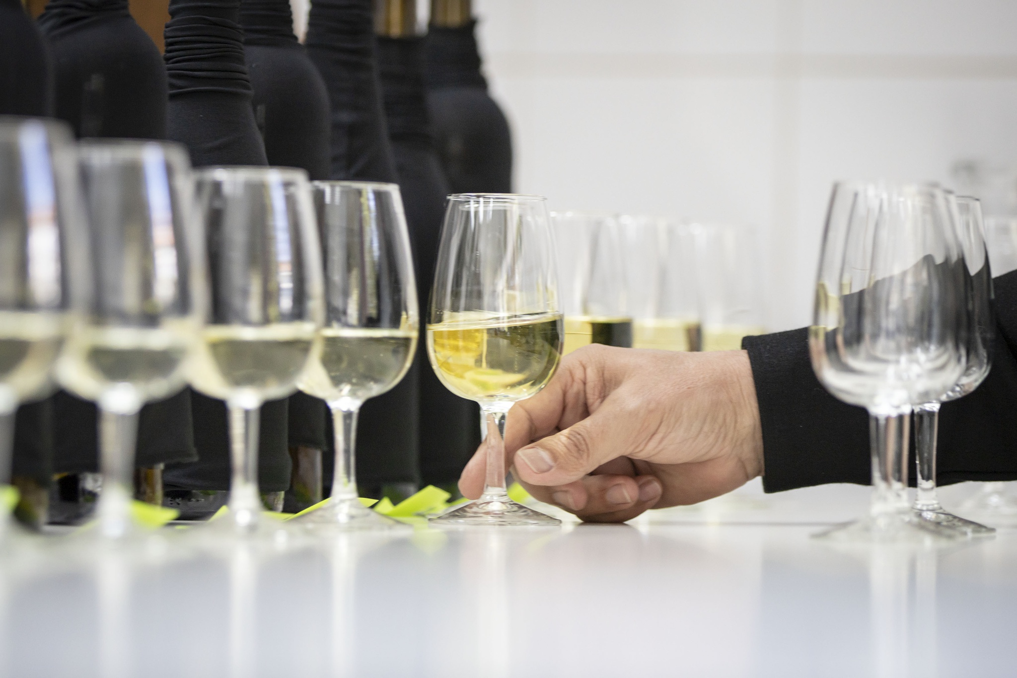 terroir,vinhos-verdes,concursos,vinhos,fugas,
