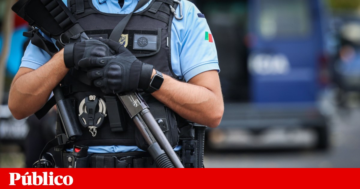 Three More Security Force Agents Linked to Dismantled Neo-Nazi Militia in Portugal