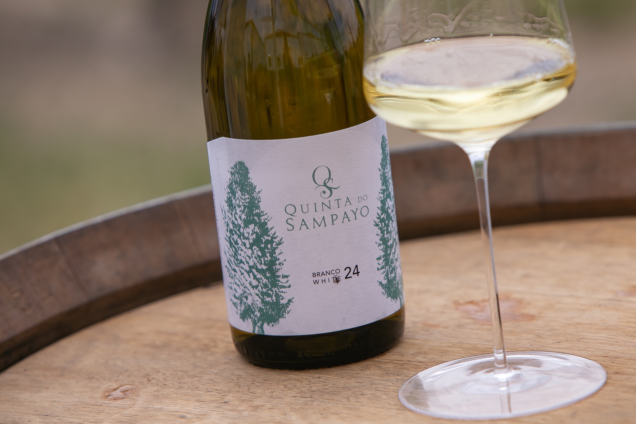 sustentabilidade,cartaxo,tejo,enoturismo,vinhos,fugas,
