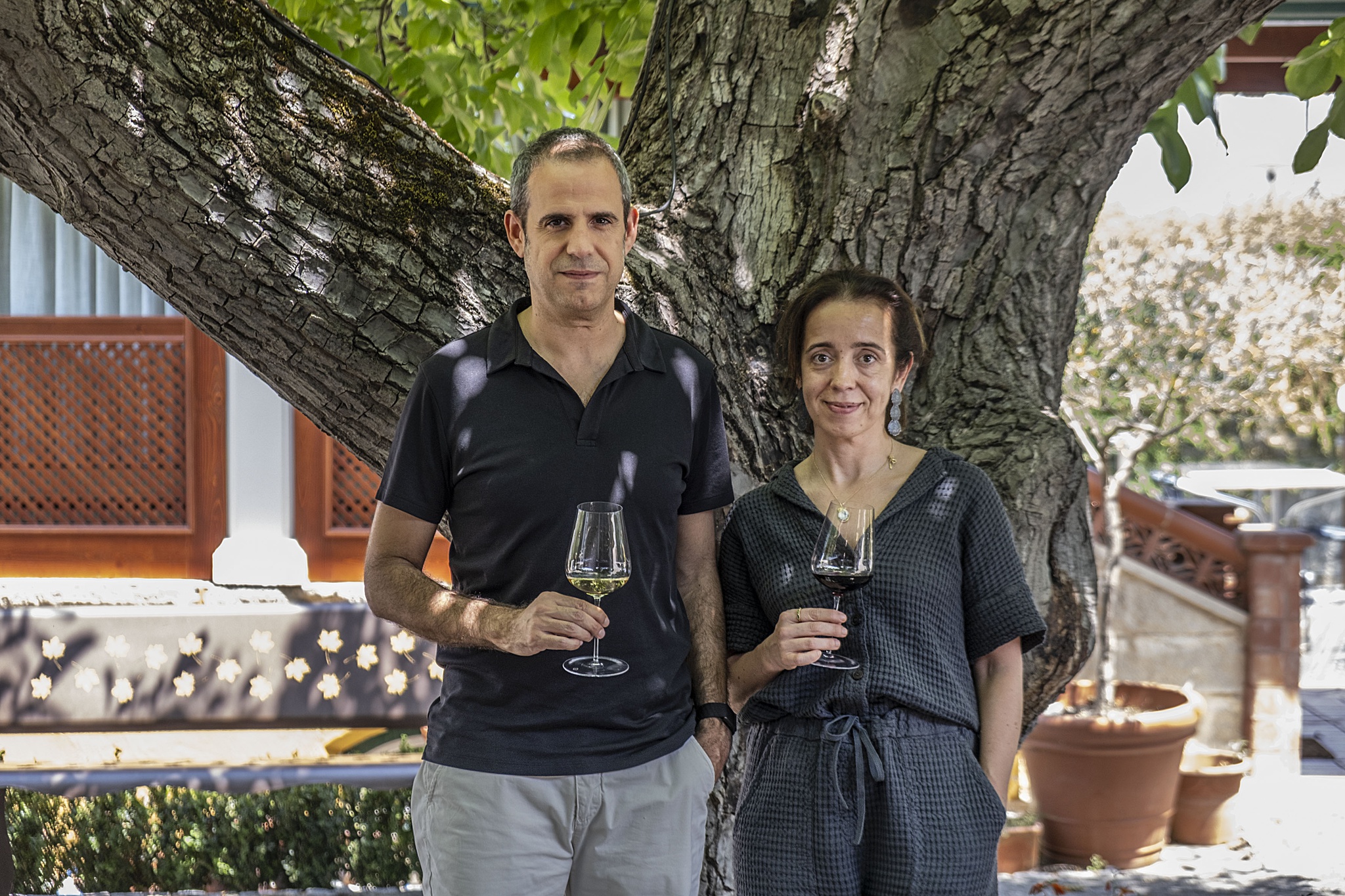enoturismo,vinhos,fugas,economia,alentejo,exportacoes,