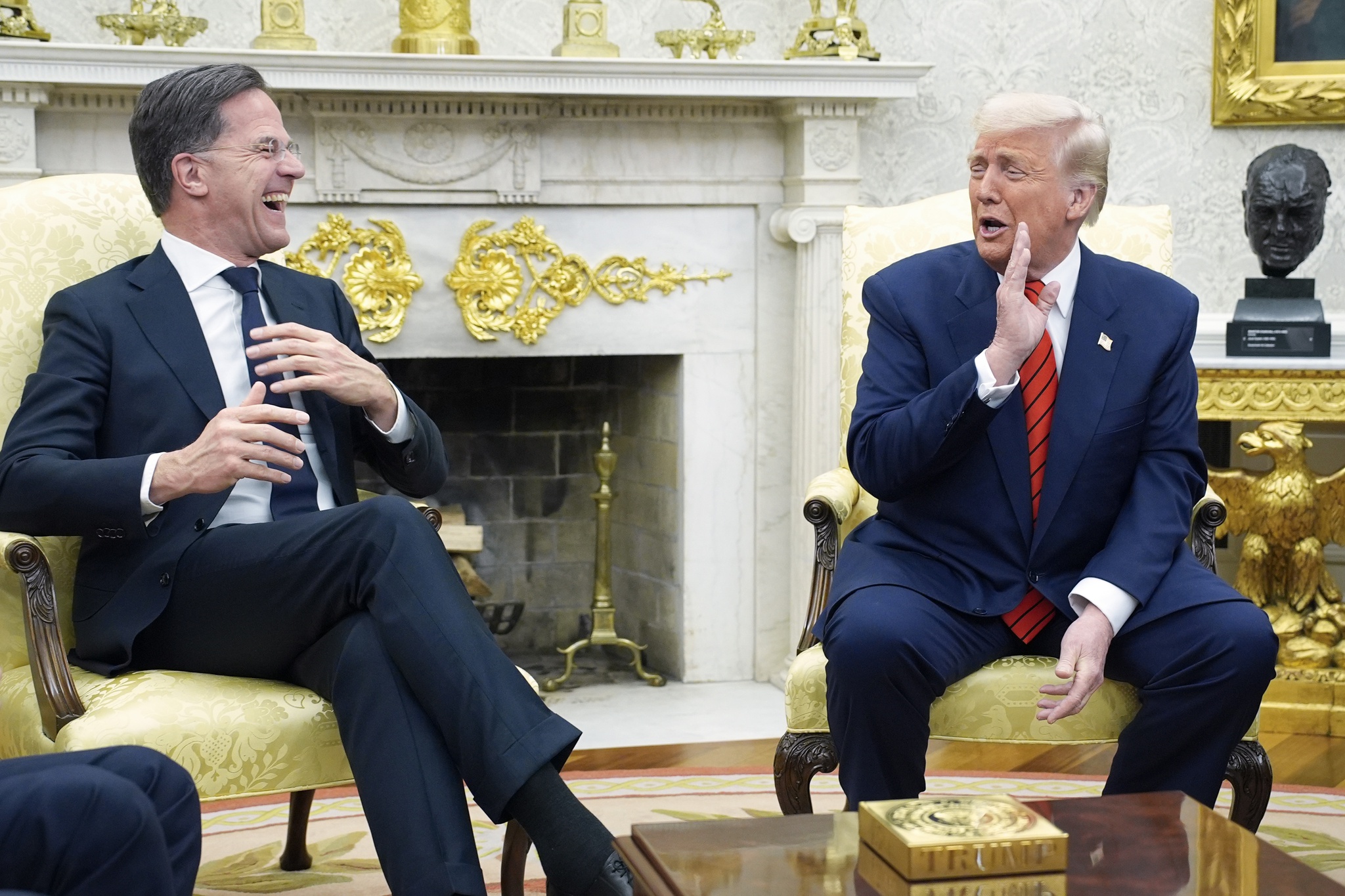 epa11961663 US President Donald Trump (R) meets with NATO Secretary General Mark Rutte (L) in the Oval Office of the White House in Washington, DC, USA, 13 March 2025. EPA/YURI GRIPAS / POOL