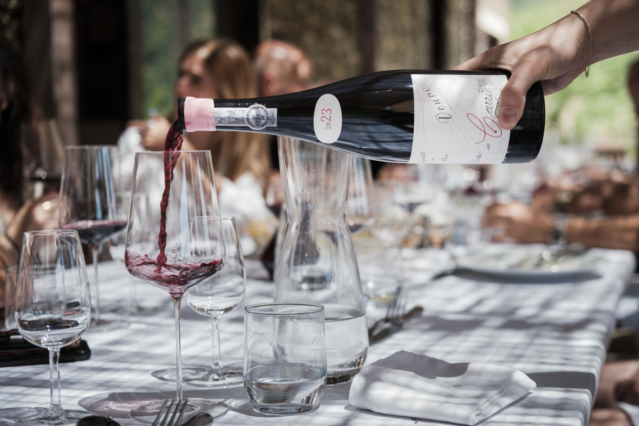 terroir,critica,vinhos,douro,fugas,