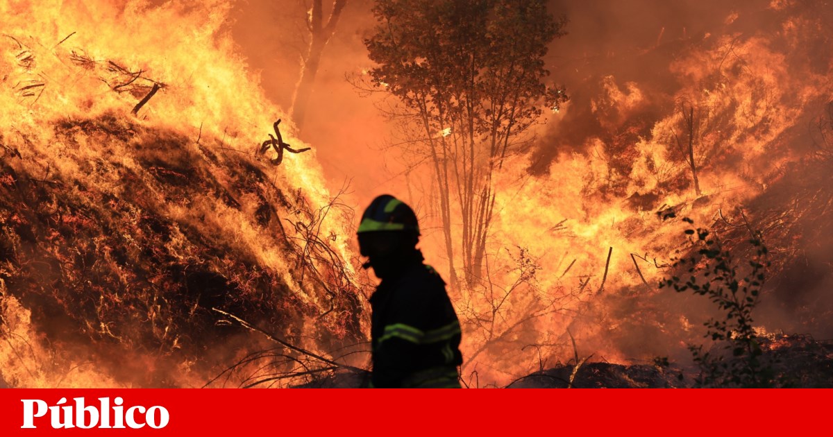 Government Downplays Aircraft Shortage on Year's Worst Day for Wildfires - Publico Report