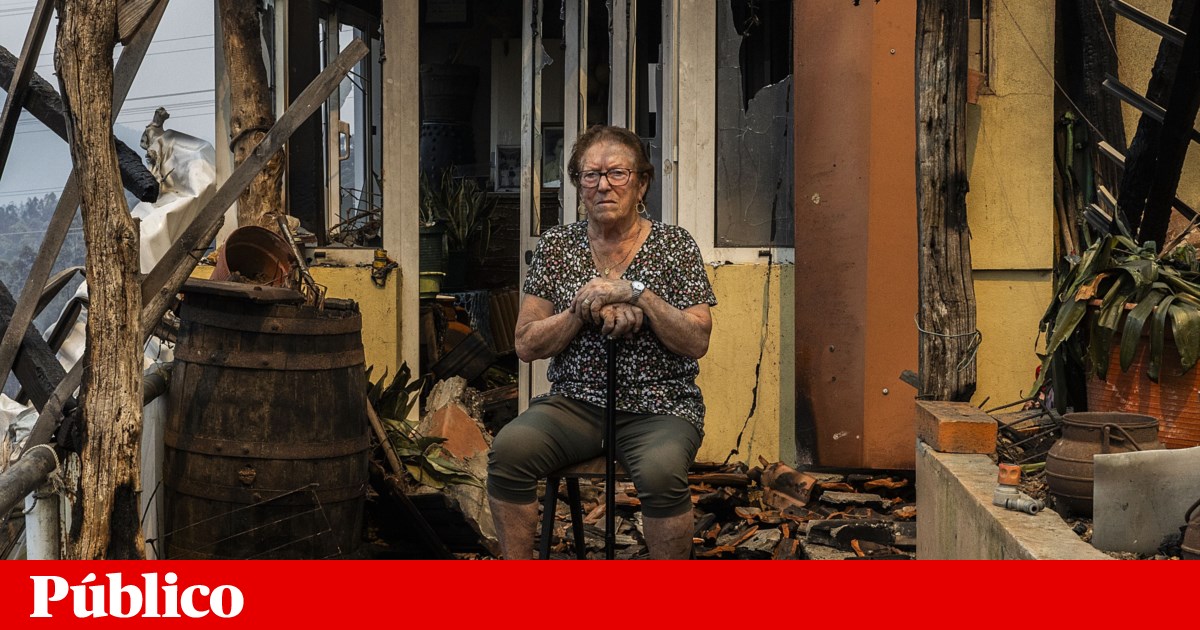 Wildfires in Arouca and Cinfães: A Night of Fear and Devastation