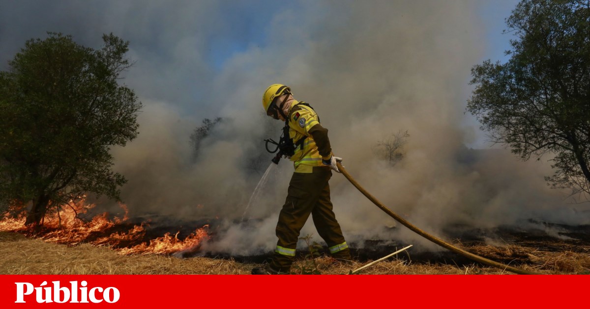 Four Arrested in Four Days for Starting Wildfires in Portugal